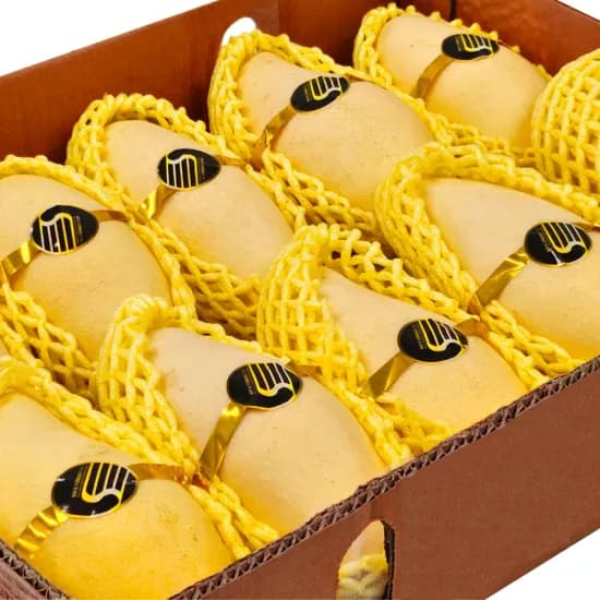 항공직송 태국망고 2.5kg 점보과 15,360원