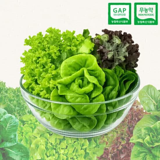 친환경 GAP 무농약 부여 유러피안 샐러드 채소 1kg(3-6종) 5900원 유클