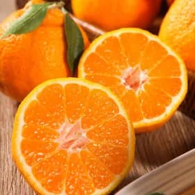 12Brix 당도보장 제주 하우스 한라봉 4.5kg 13,640원 무배