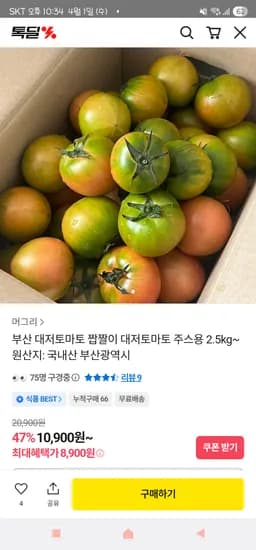 주스용 대저 토마토 2.5kg 8,900원 / 5kg 17,900원 무배