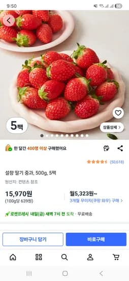 쿠팡 설향 딸기 중과, 500g, 5팩 15,970원