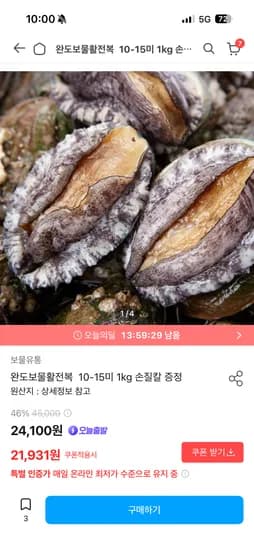 완도 활 전복 10-15미 24100원 무배