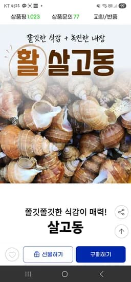 고추골뱅이 대 1kg