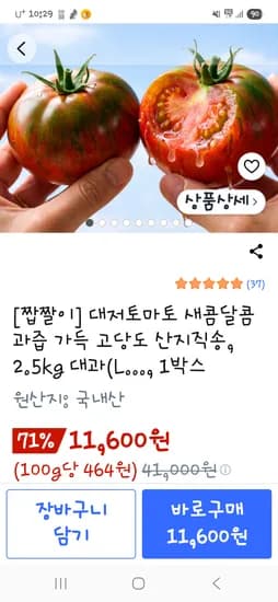 대저토마토 2.5kg 11,600원 무배