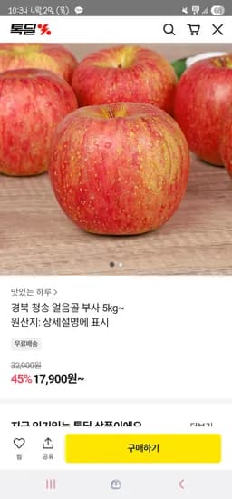 청송 얼음골 부사 사과 5kg 17,900원(리뷰작성 5천원) 무배