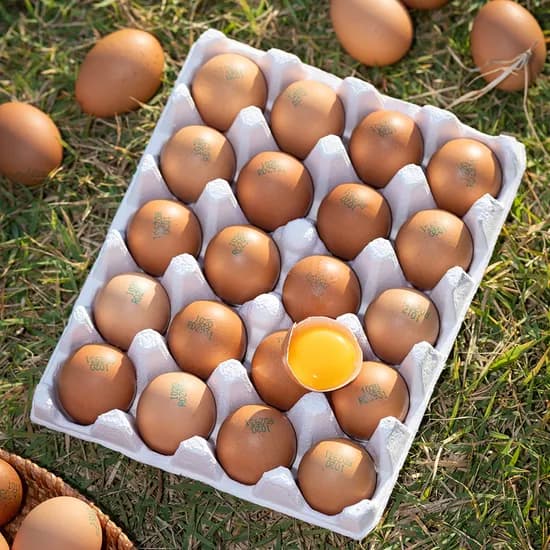 난각 1번 유정란 20구 6,320원