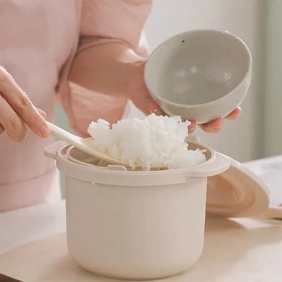 전자렌지 저당 밥솥 12,900원