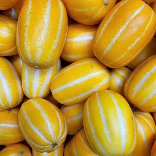 A급 성주 참외 랜덤과 2kg 12,390원(옵션다양)