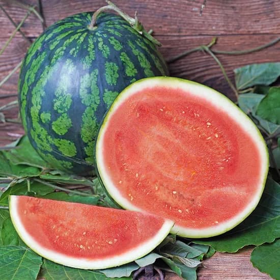 꿀수박 5kg 1개 29,900원