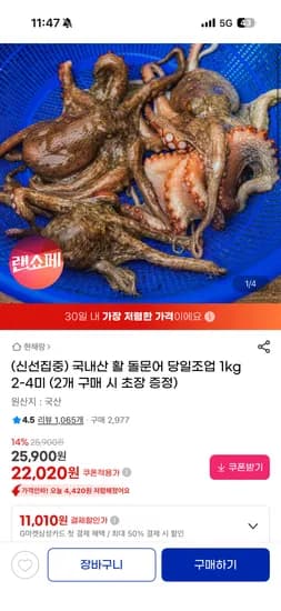 국내산 활 돌문어 1kg 2-4미 22,900원 무배