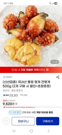 국산 통영 깐멍게 500g 9,520원 무배