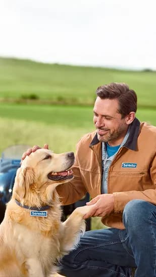 세레스토 정품 강아지 진드기 예방 목걸이 S 42,525원