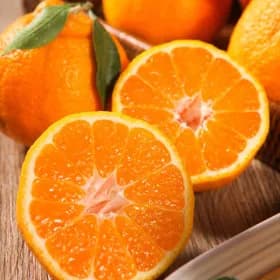 한라봉 2kg 8,800원 무배