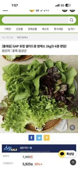 풀래음 GAP 유럽 샐러드용 쌈채소 1kg 5,925원
