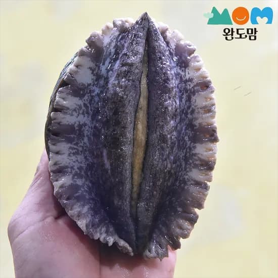 완도맘 활전복 1kg 17,920원