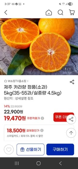 카라향 5kg