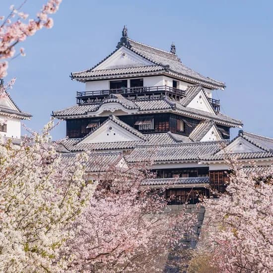 마츠야마 자유여행 3일 카츠야마호텔 히요리호텔