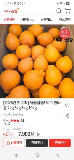 제주 한라봉 2kg 꼬마과 7,900원