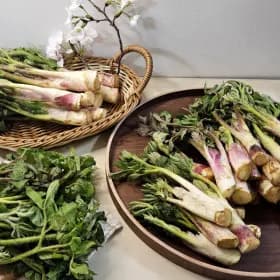 남해 땅두릅 튀김용 1kg 15,840원