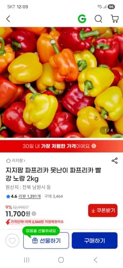 빨강 노랑 못난이 파프리카 2kg 11,700원