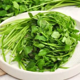 국내산 돌미나리 1kg 7,840원 무배