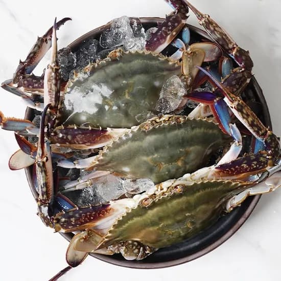 활 암꽃게 1kg 4-6미 토페(삼/롯),카페머니 24,480원 무배