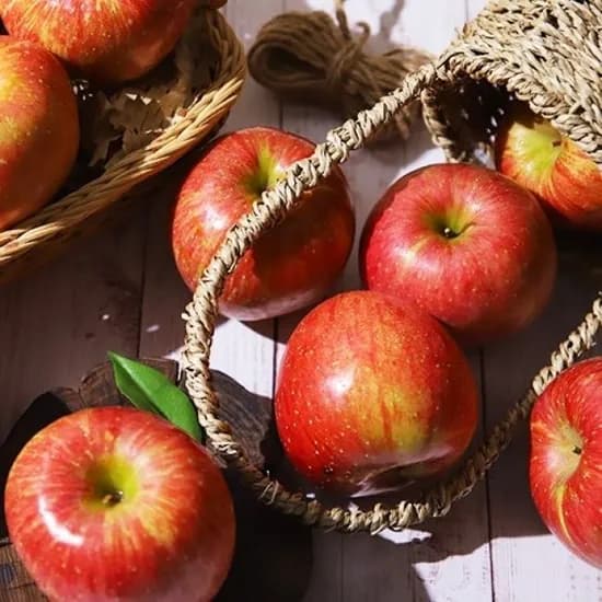 경북사과 가정용 소과(10~12과) 2kg 내외 12,160원