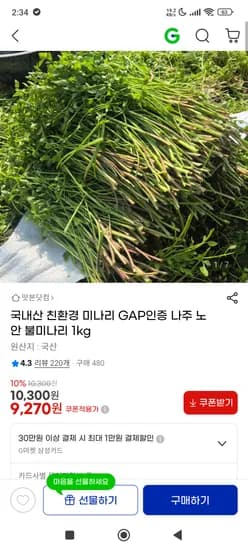 국내산 GAP인증 나주 불미나리 1kg 9,270원