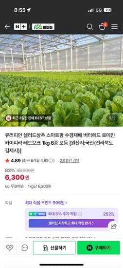 팜마실 유러피안 샐러드야채 4종 1kg 6,300원 무배