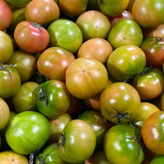 대저 토마토 혼합과 2.5kg 9,900원