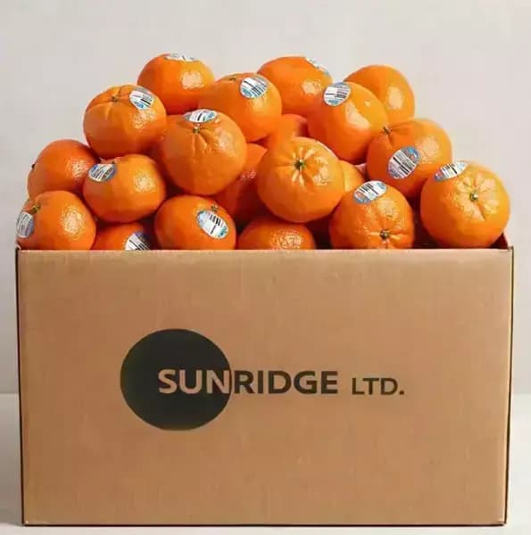 초고당도 만다린 4.5키로 19,440원 무배 핫딜