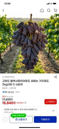 고당도 블랙 사파이어포도 2kg 내외 15,840원 핫딜
