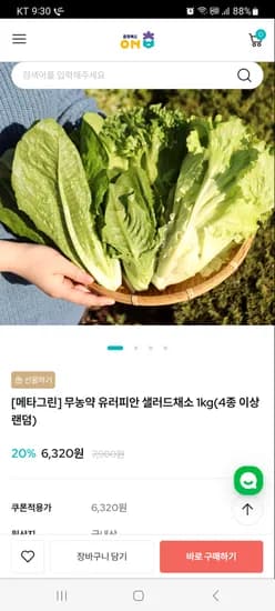 무농약 유러피안 샐러드채소 1kg 6,320원 무배