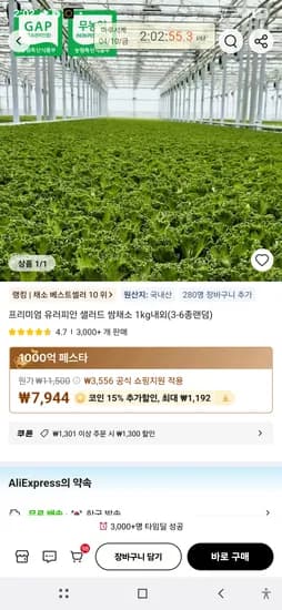유러피안 쌈채소 1kg 3972원