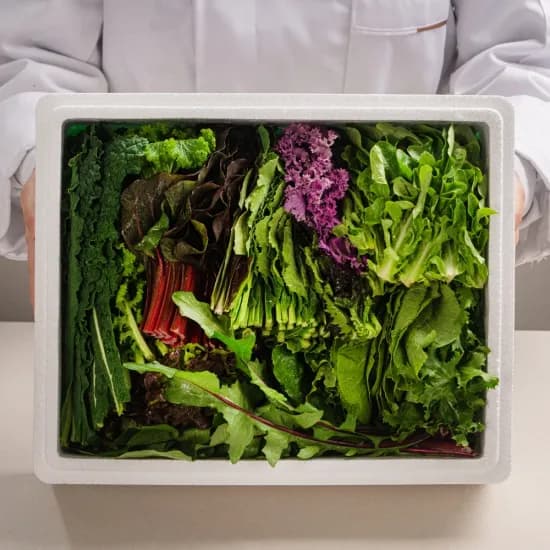 신선한 지평모둠 쌈채소 1kg 6,205원