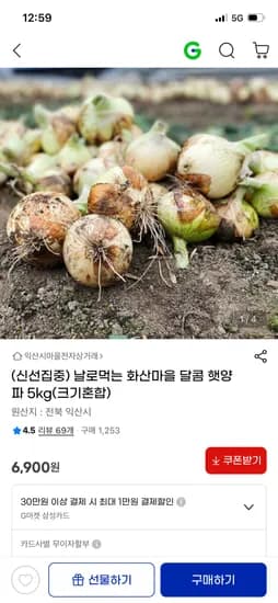 햇양파 5kg 혼합 6,900원