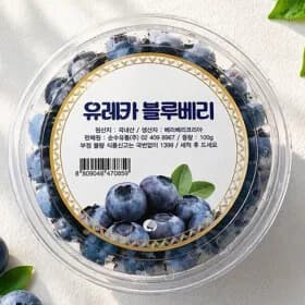 국내산 유레카 생 블루베리 100g(특) 3팩(2+1) 24,400원