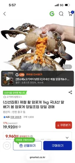 신선집중 제철 활 암꽃게 1kg 국내산 알배기