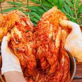 명인 전라도식 배추김치 10kg