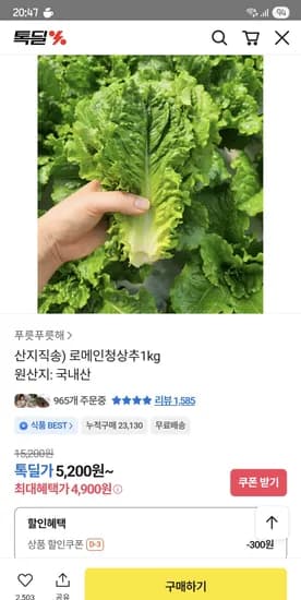 로메인청상추 1kg