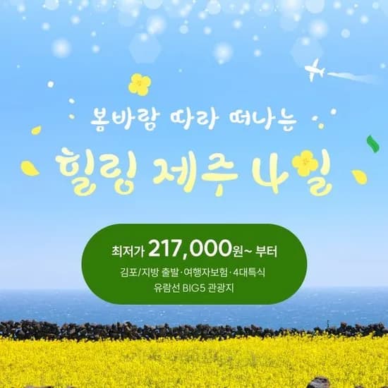 제주여행 4일 패키지 217,000원