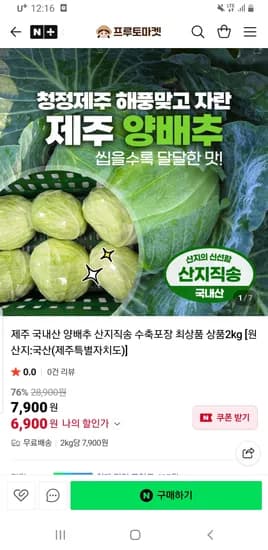 달달한 해풍맞고 자란 제주 양배추 초핫딜 2키로 6,900원 무배