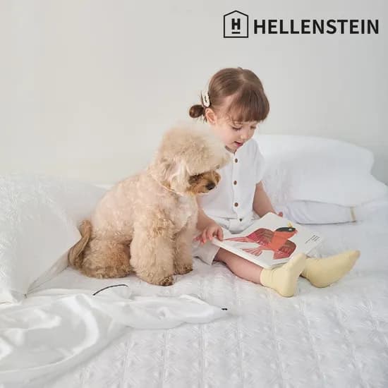 헬렌스타인 듀라론 냉감패드 베개커버 세트