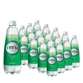 트레비 플레인 300ml 40개