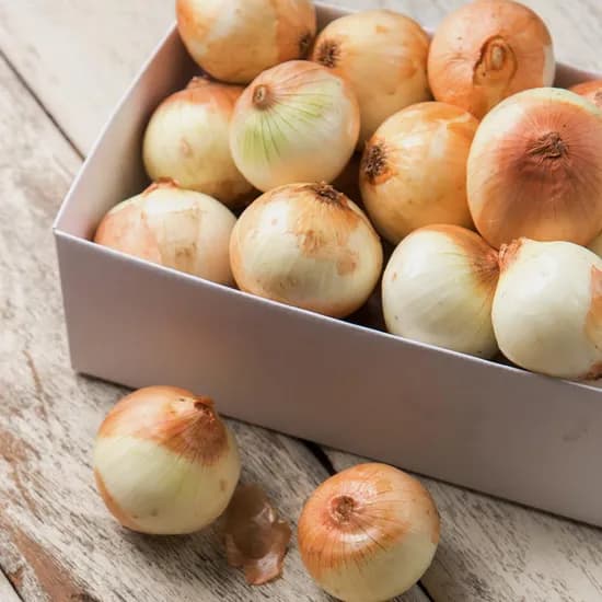 감동몰 국내산 26년 햇 산지직송 양파 상 3kg 5880원