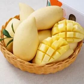 태국 망고 4kg 8-12과 25,020원 무배