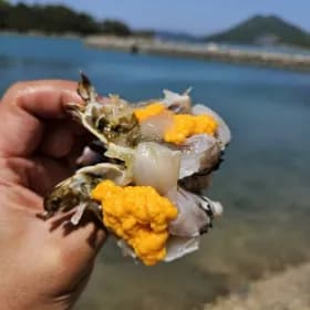 국내산 제철 암꽃게 봄알배기 2kg 34,850 무배