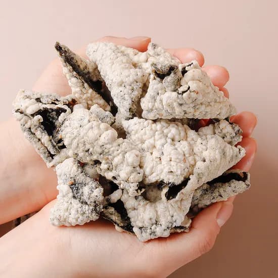 산지로드 소담 김부각 40g 5팩 12900원 (무배)