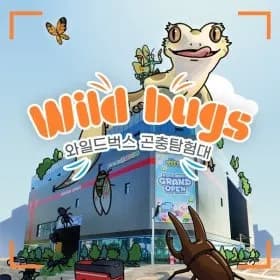 와일드벅스 곤충탐험대 11,160원