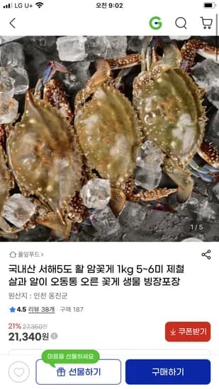 국내산 서해5도 활 암꽃게 1kg 5~6미 21,340원